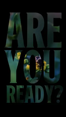 Are You Ready?