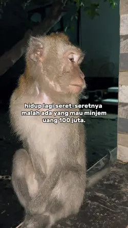 Hidup lagi seret