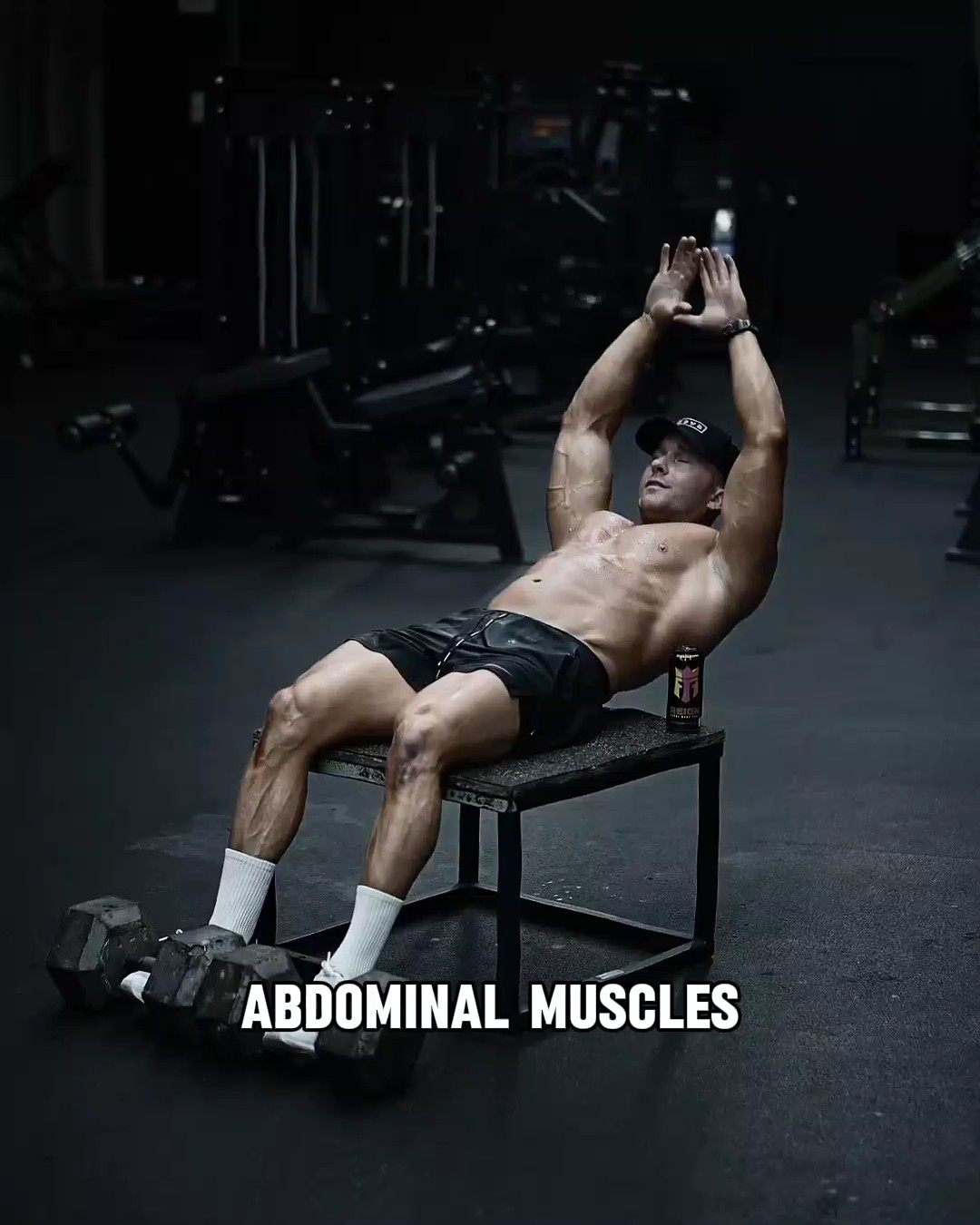 Músculos abdominais 
