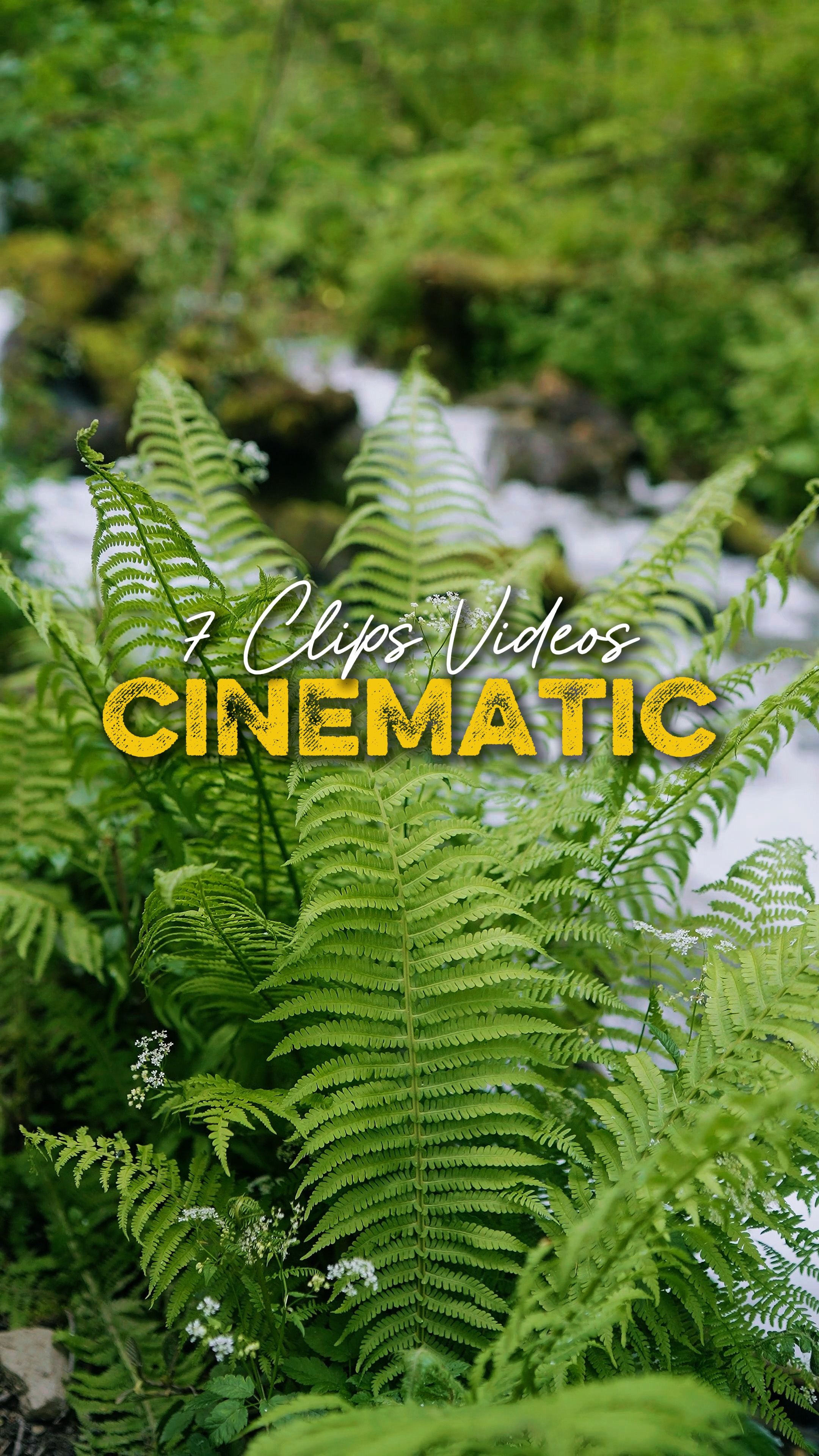 Cinematic 7 Videos
