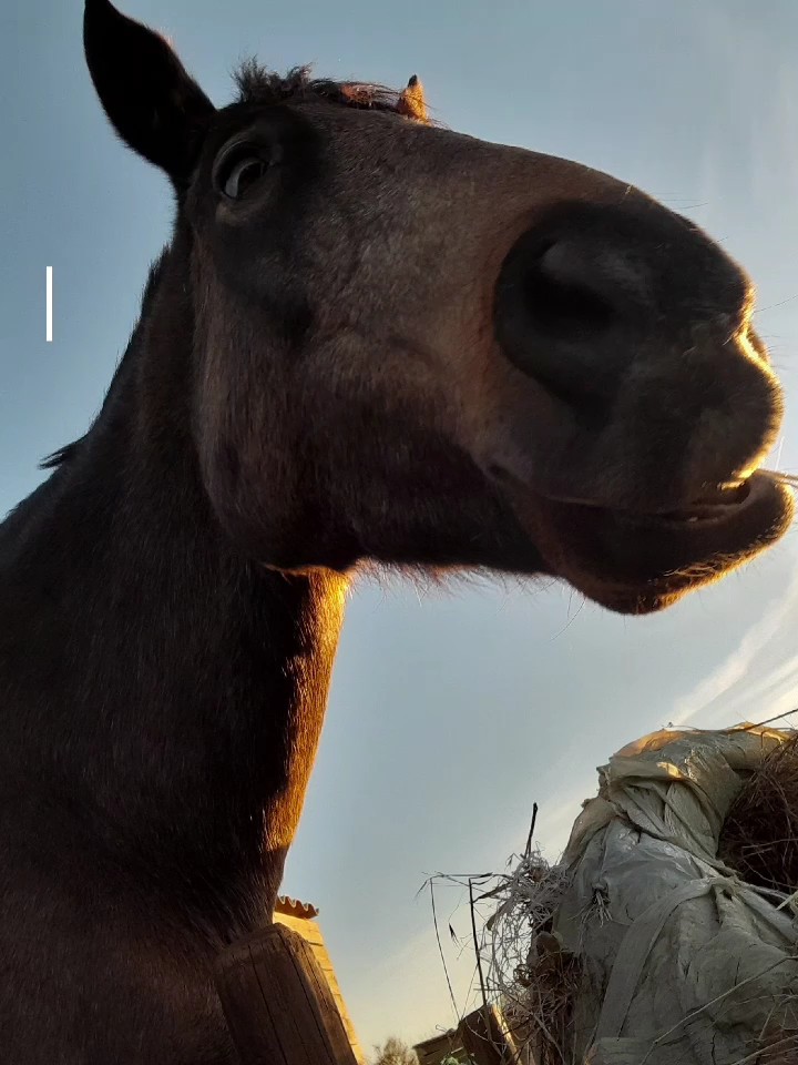 dite moi en com 