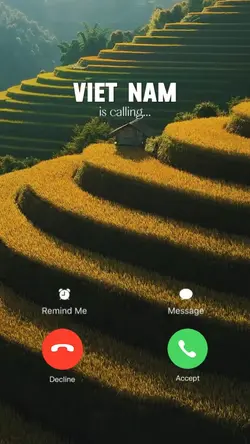 Vietnam is calling🌿