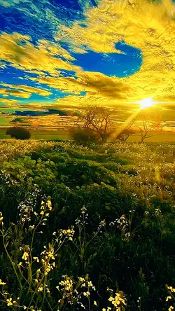 cinematic sunrise