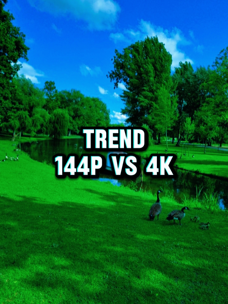 trend 144P to 4K