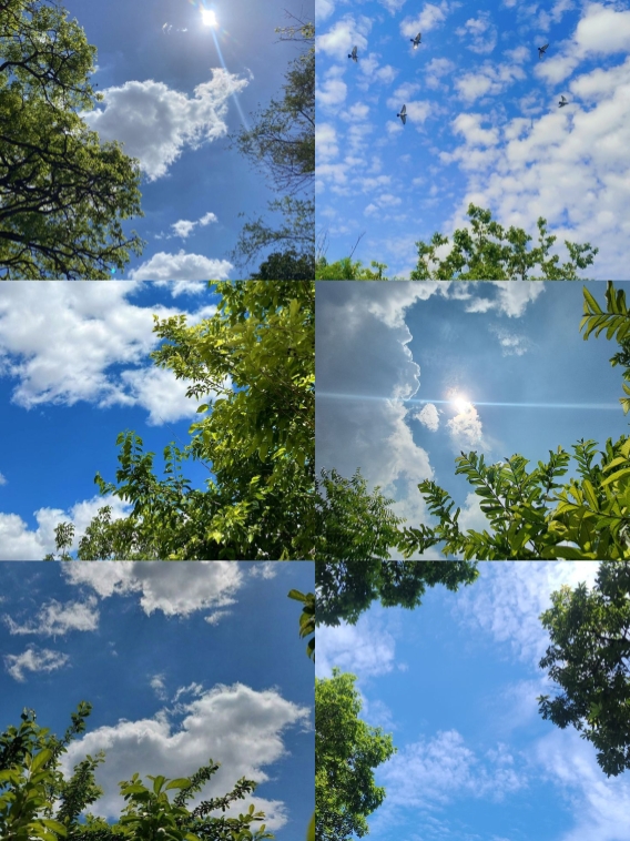 6 fotos al atardecer 