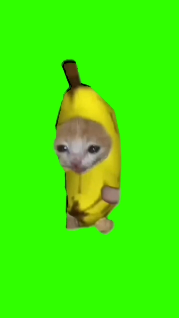 Chat Banane:]