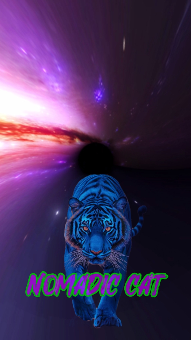 CHAT NOMADIQUE