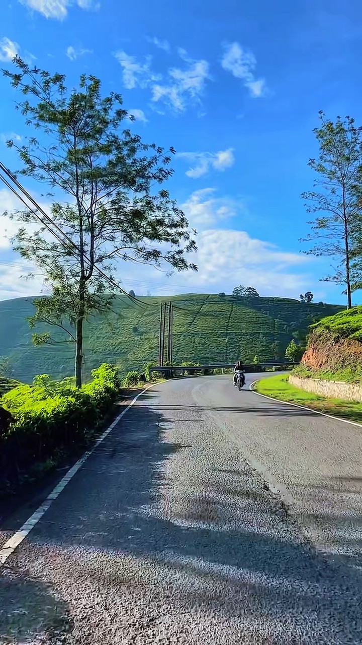 Carretera de video de 8 clips
