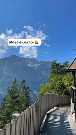 [24] mùa hè của tôi