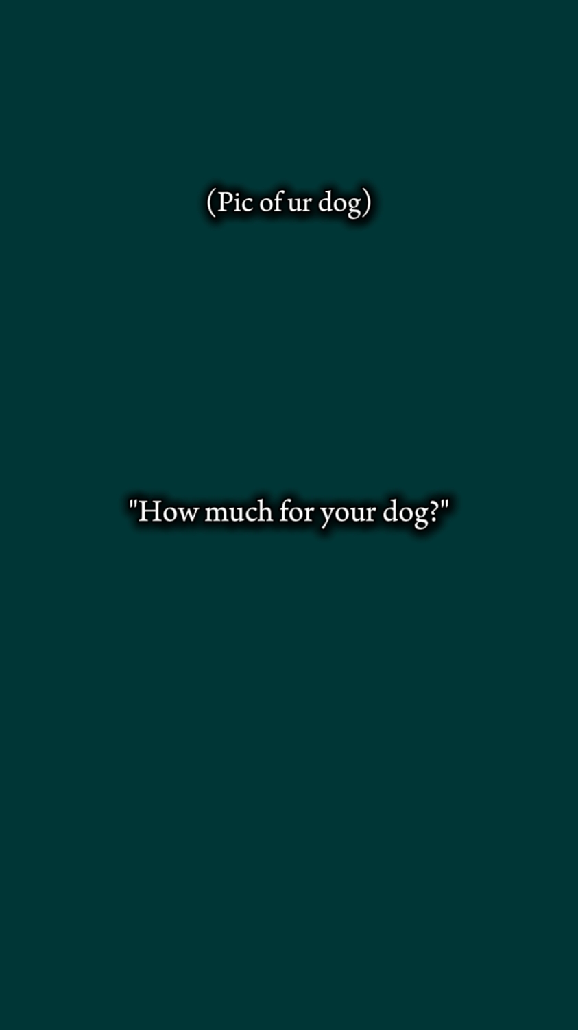 Perro