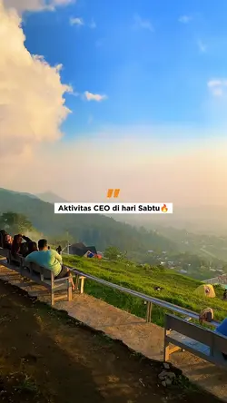 aktivitas CEO
