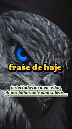 frase de hoje 