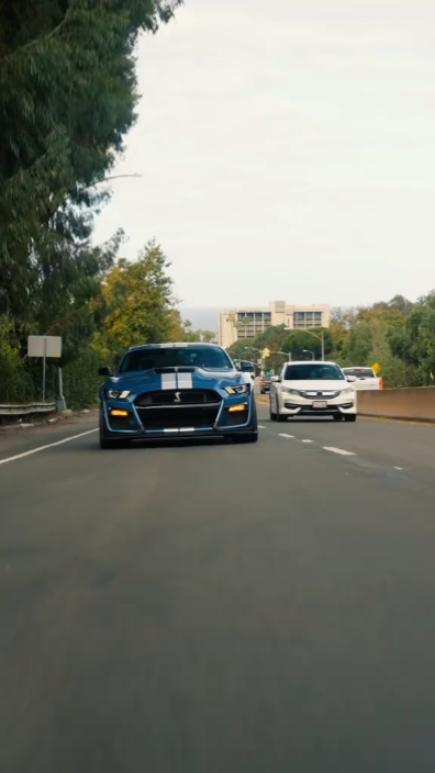 Edição Mustang