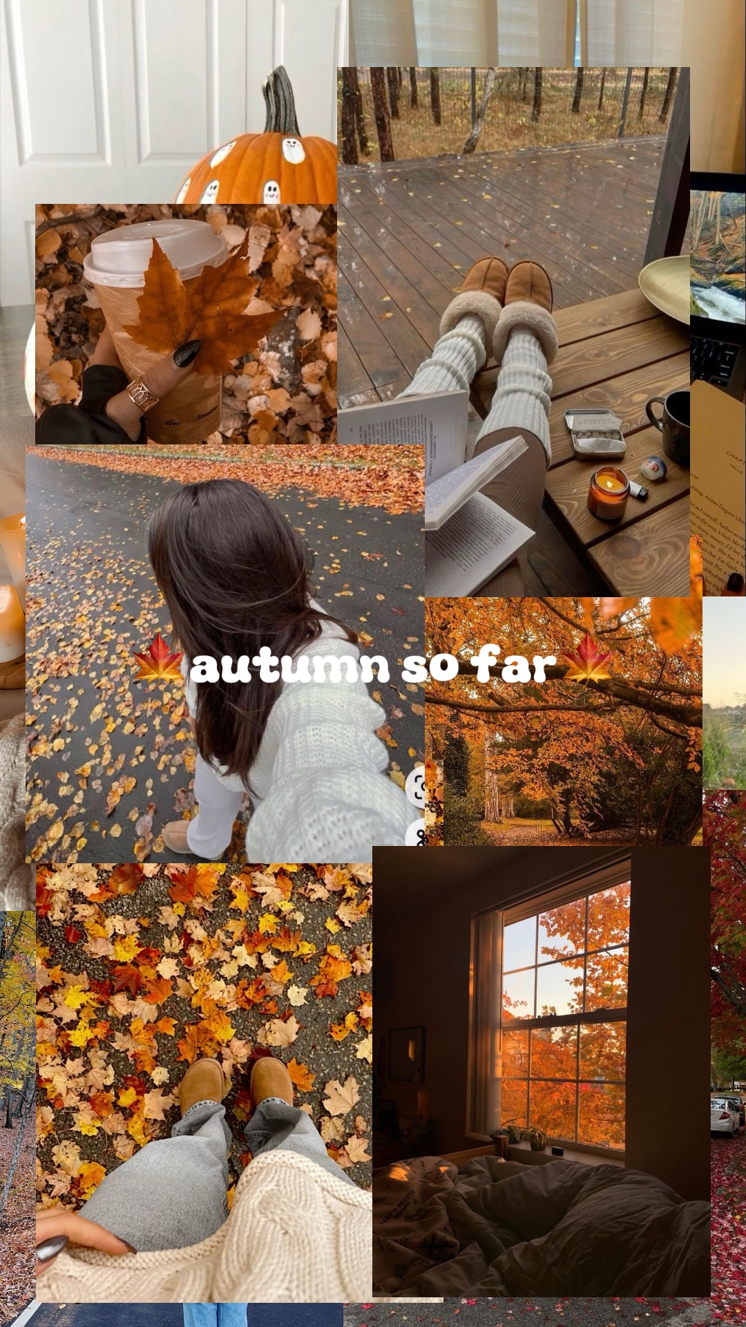 지금까지의 가을🍁