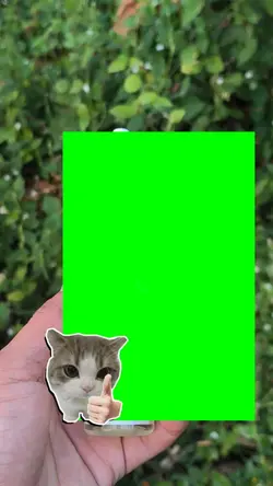 Green Screen