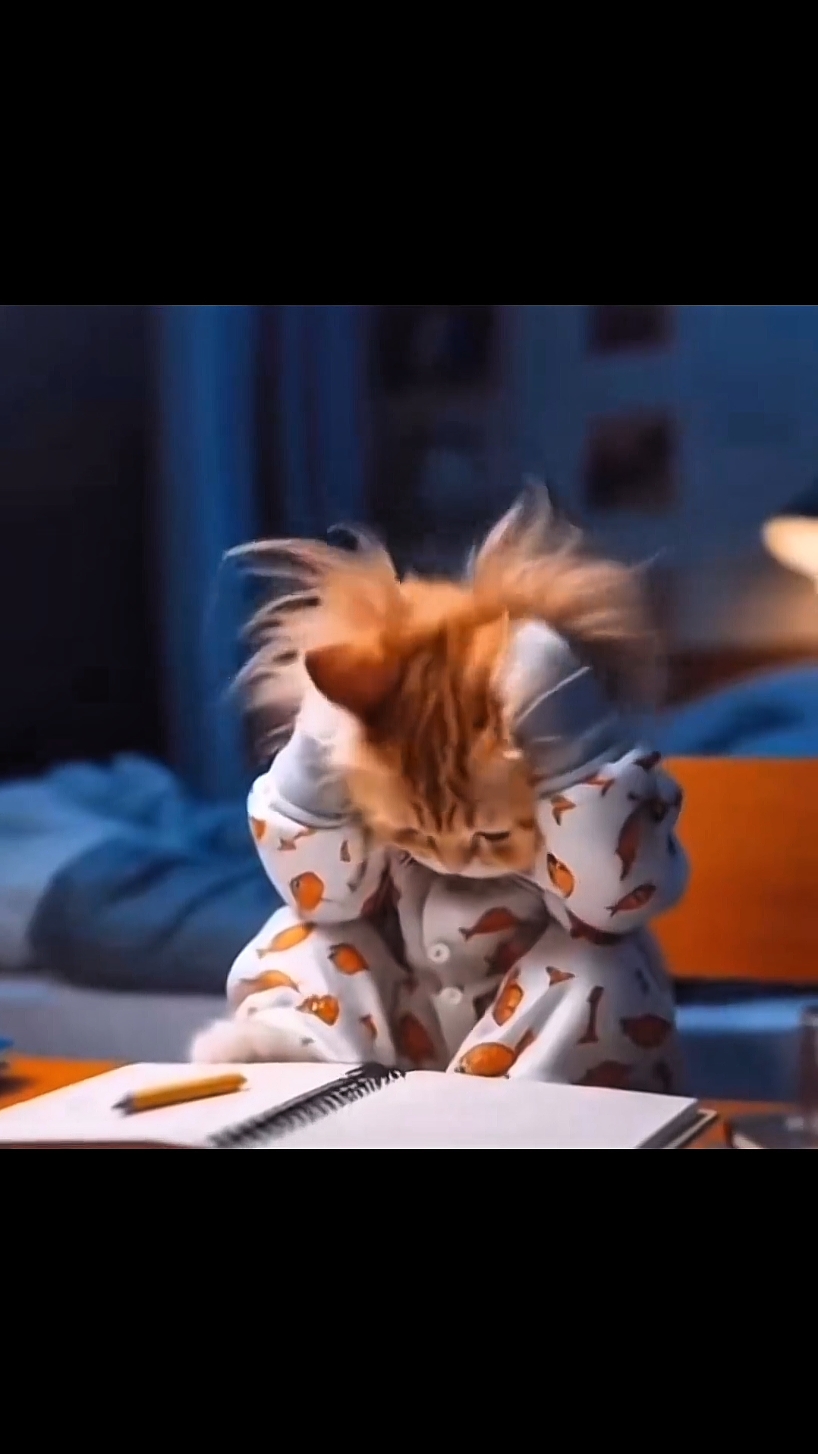 Funny Ai cat video 