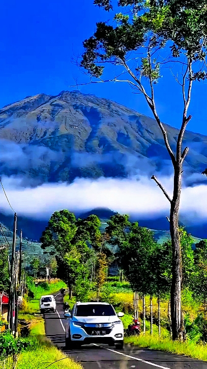 Filtro IP claro HD 