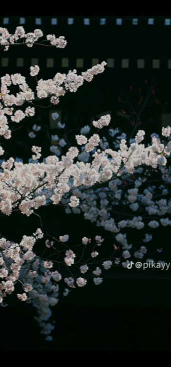 ຍ່າຕົກໄຈເດີ 