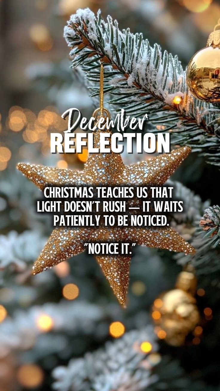Reflexión de diciembre