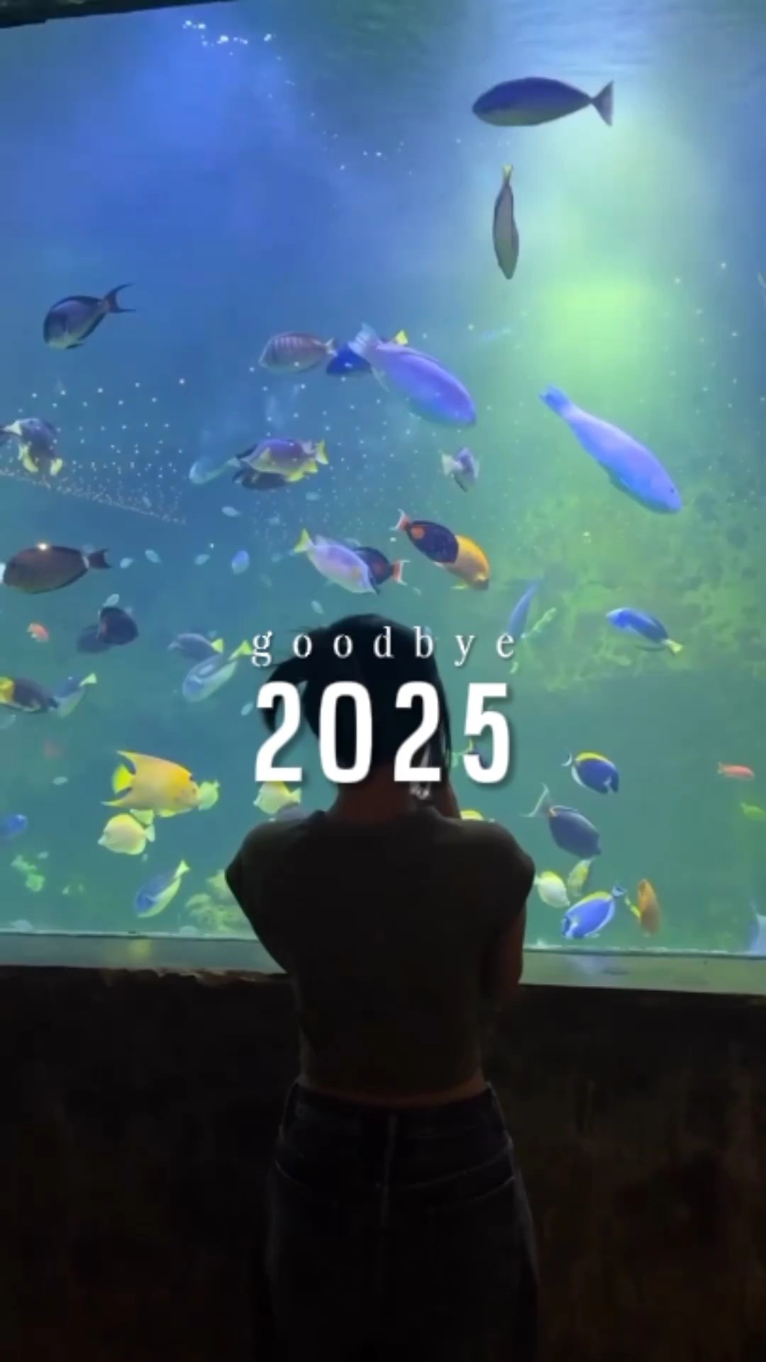 Adiós 2025