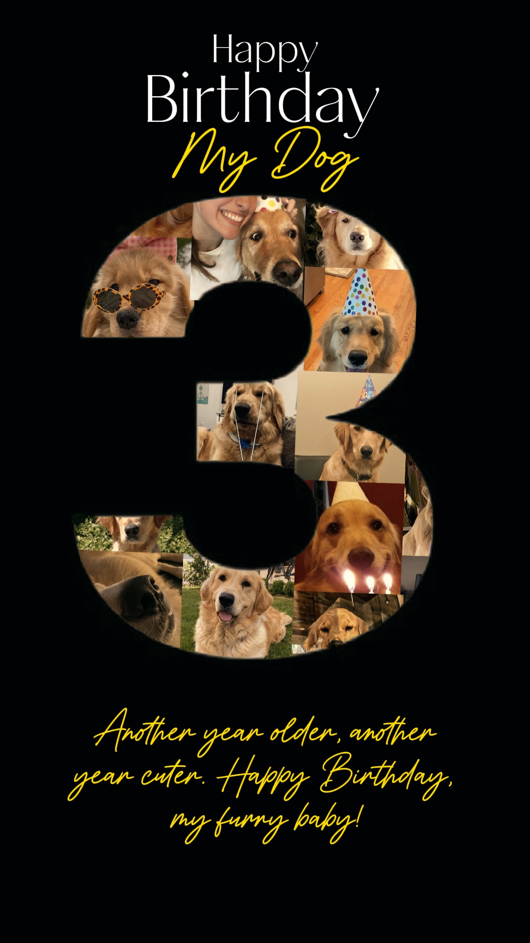 Happy birthday Dog 