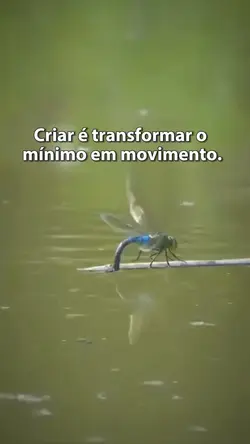 Criar