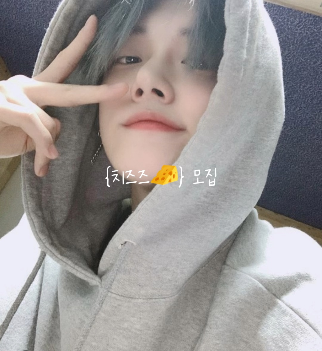 {치즈즈🧀}모집.ᐟ