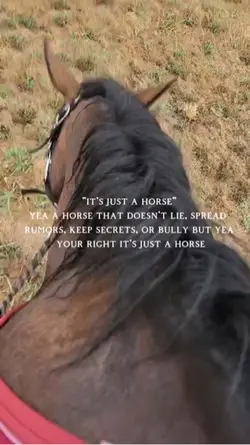 Just a horse…