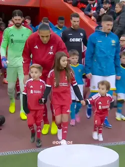 Van dijk's love