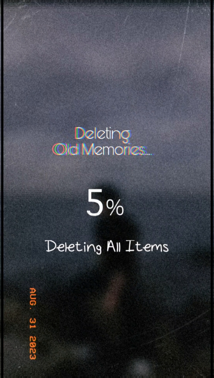 Deleting old memorie
