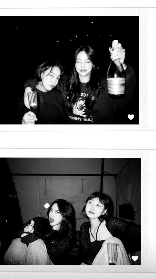 BNW ver