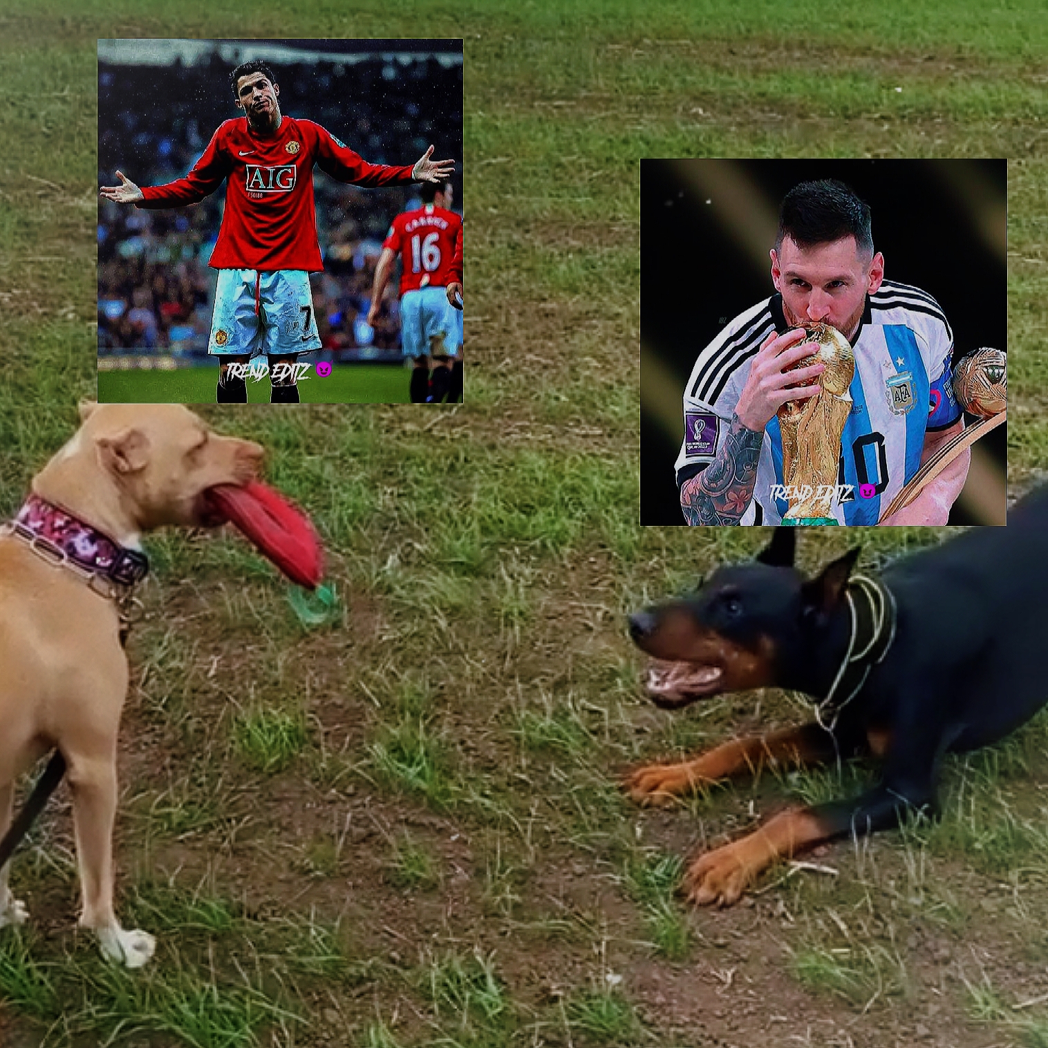 GOAT RONALDO EDITZ 