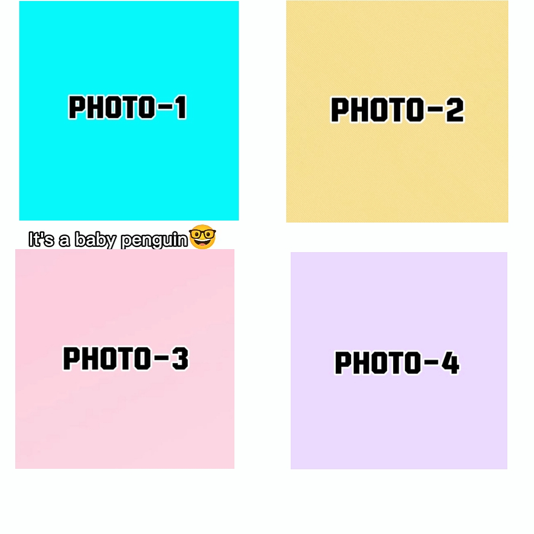 NEW VIRAL TEMPLATE