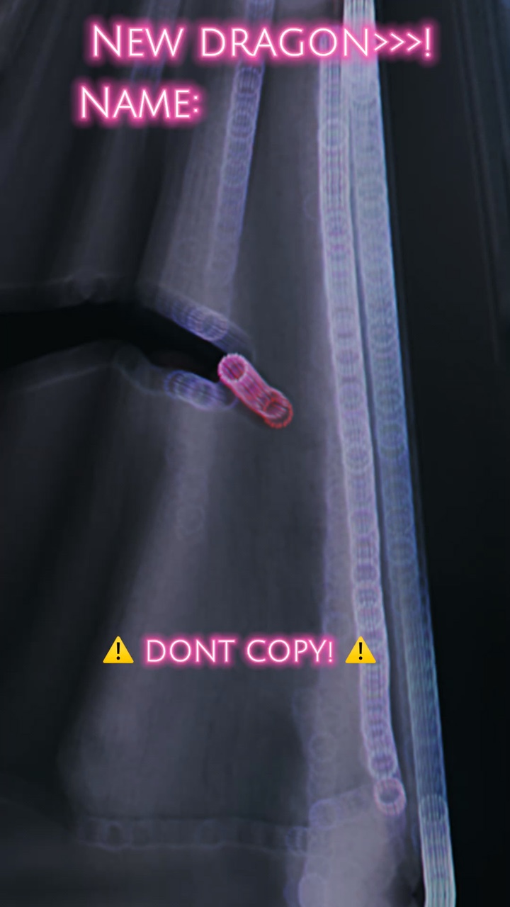 ⛓️Paper dragon ⛓️
