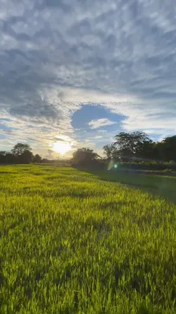 แจกครับพี่ ท้องฟ้าสวยๆ