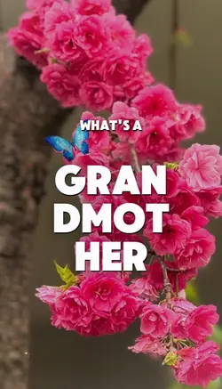 what's a grandmother