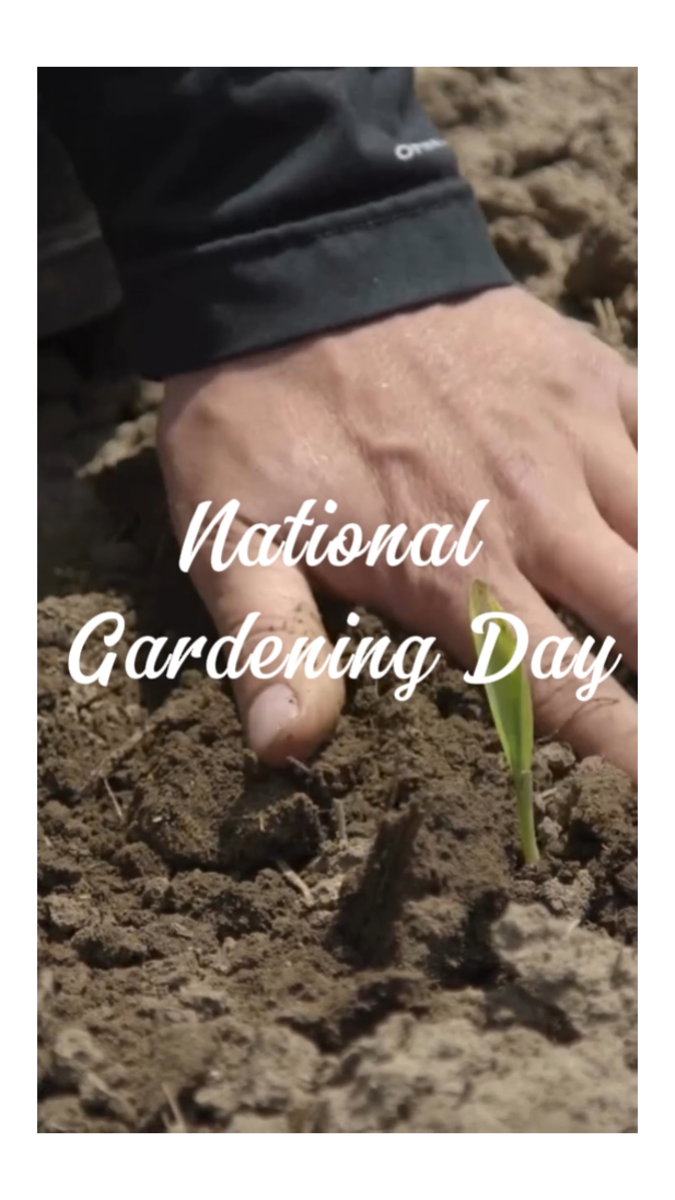 Día de jardinería
