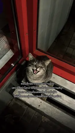 ไม่มีทีไหนเหมือนบ้าน