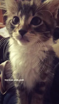 here's your perfect