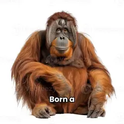 born a hero?