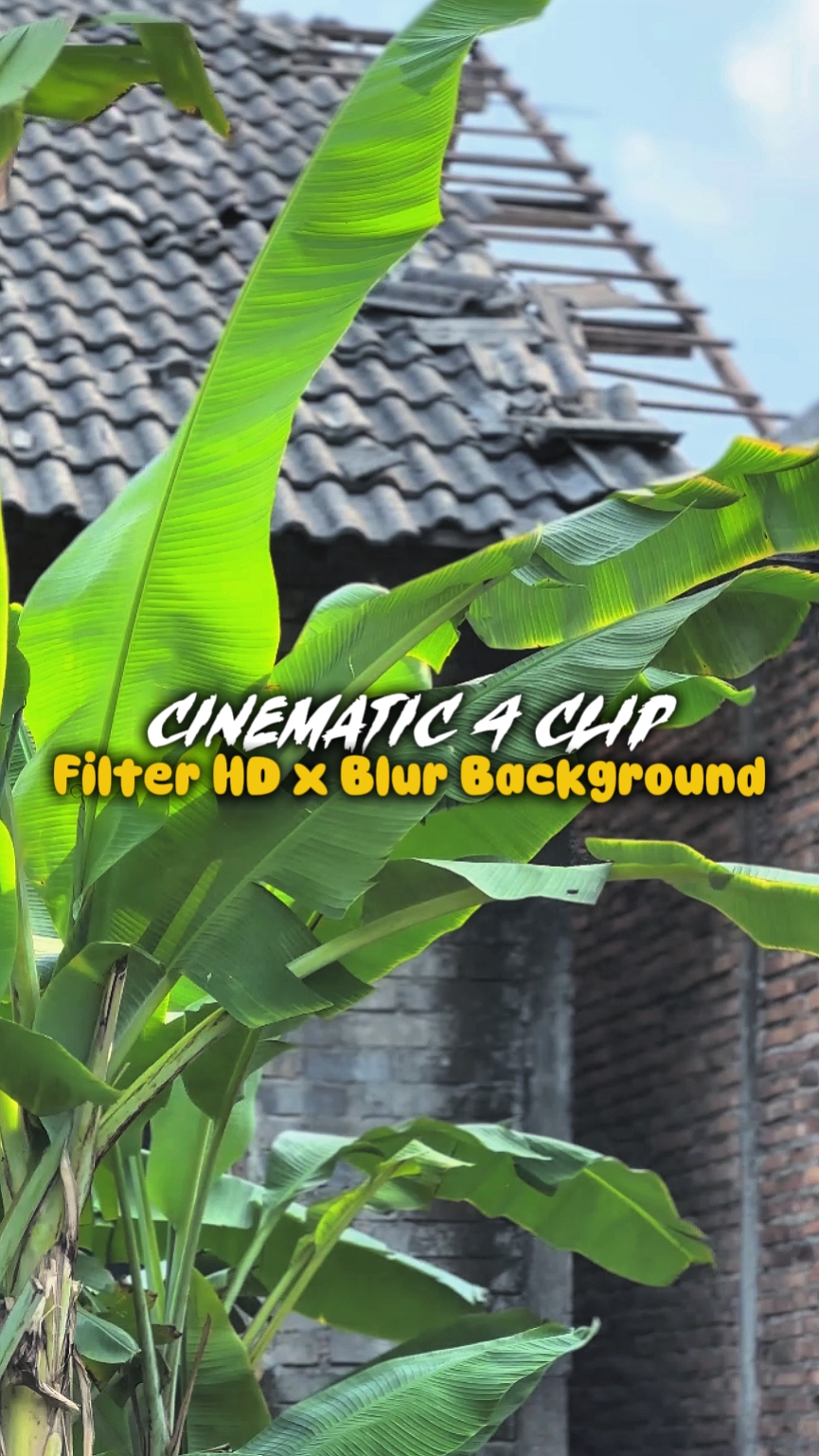 4 CLIP HD X BLUR BG