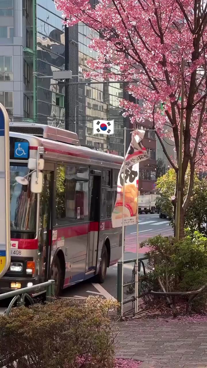 Estética coreana 
