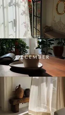 December 3 clips