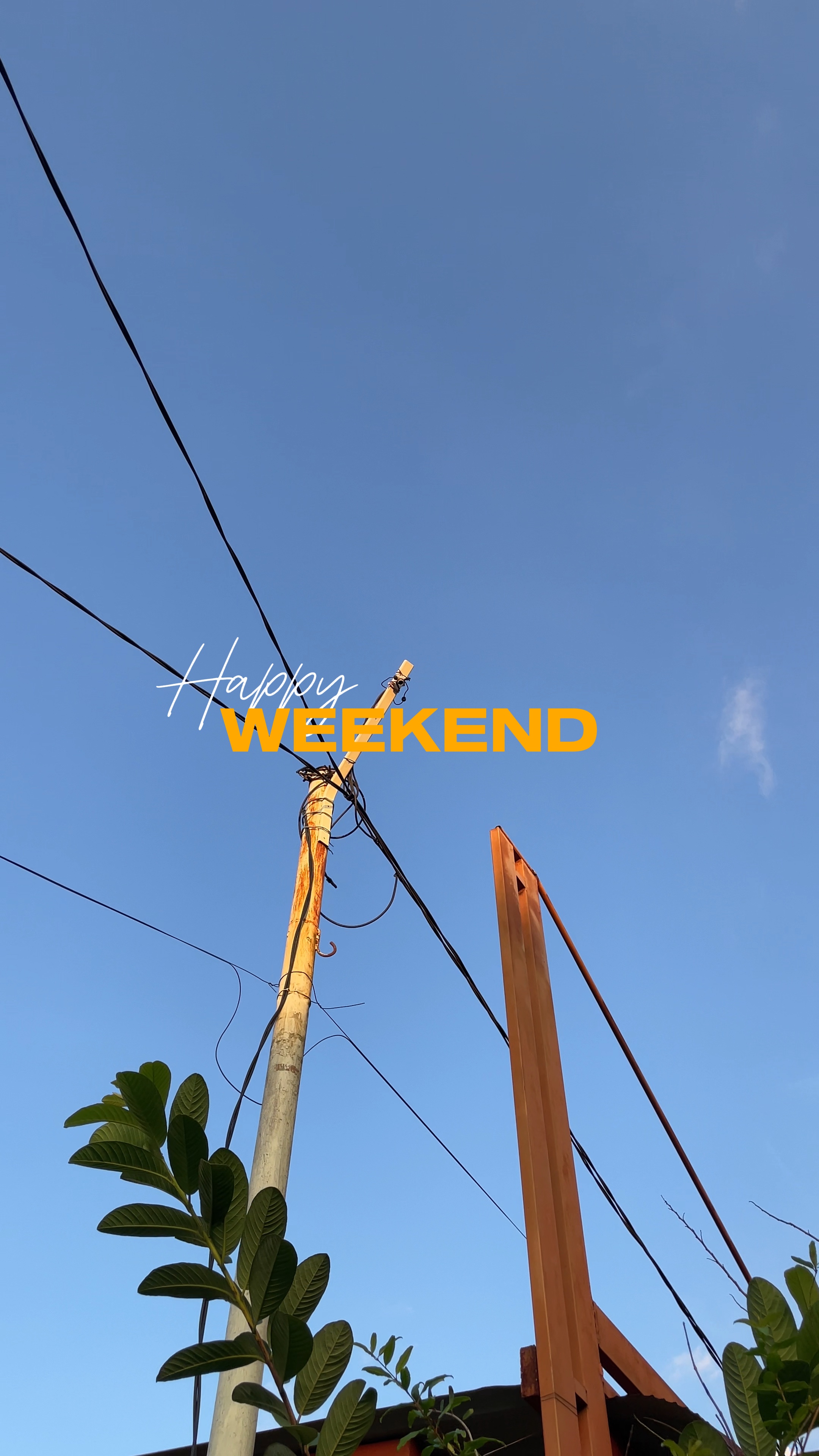 Feliz fim de semana
