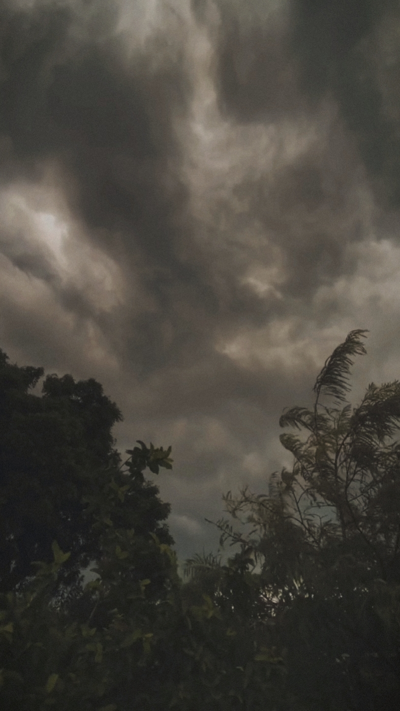 Vibra oscura