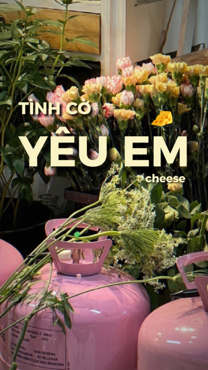 TÌNH CỜ YÊU EM