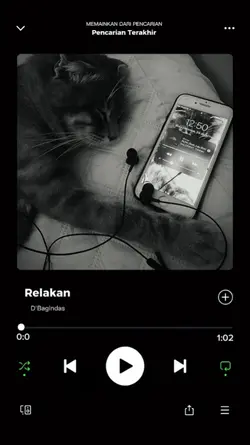 Spotify Music Player
