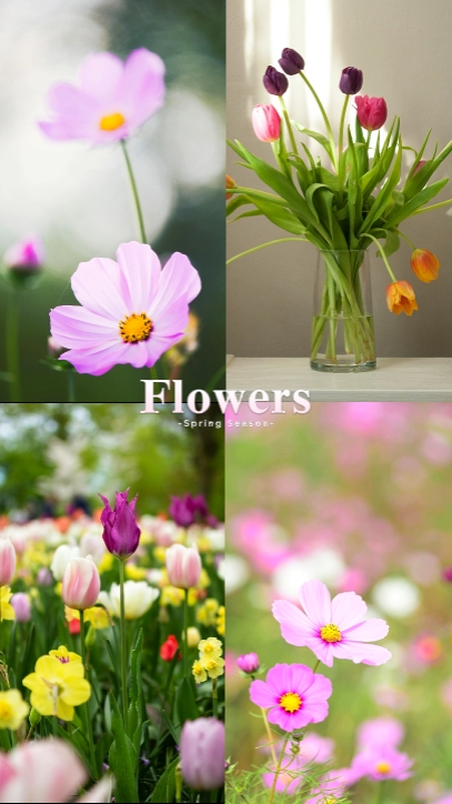 Flowers