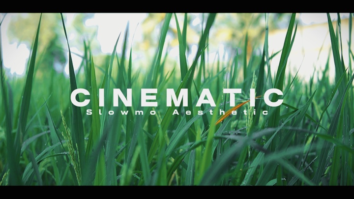 Estética Cinematográfica 