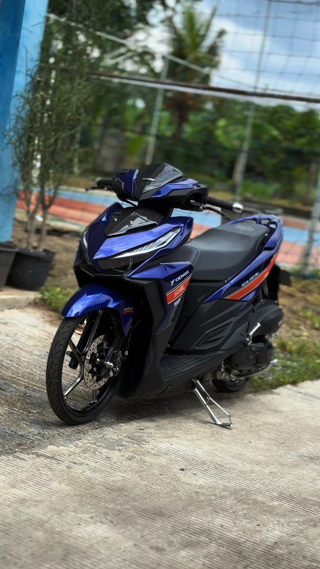 Cover Picture
